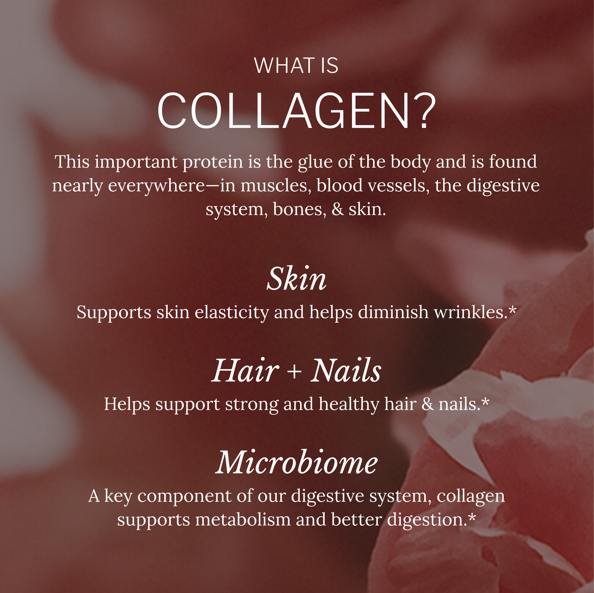 Multi Collagen 384 grams