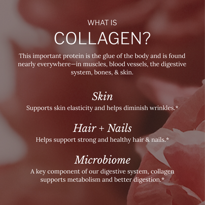 Multi Collagen 384 grams